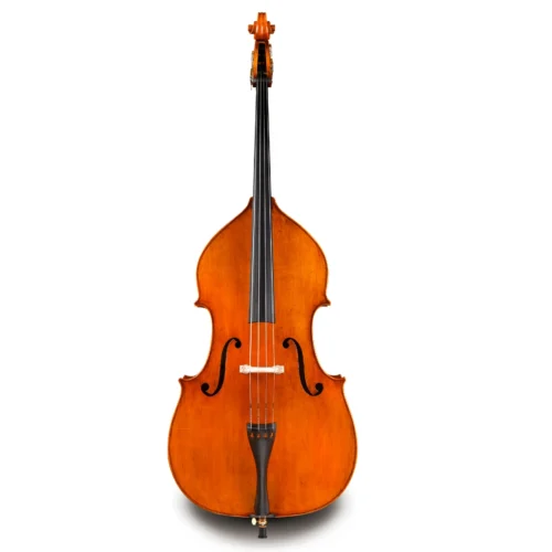 Đàn Double Bass Eastman 830 Series VB830 size 7/8 – 3/4