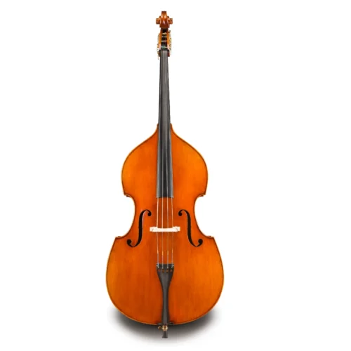 Đàn Double Bass Eastman Raúl Emiliani VB928