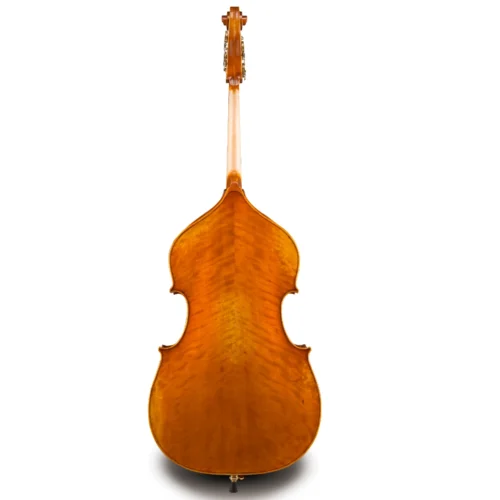 double bass jonathan li vb503