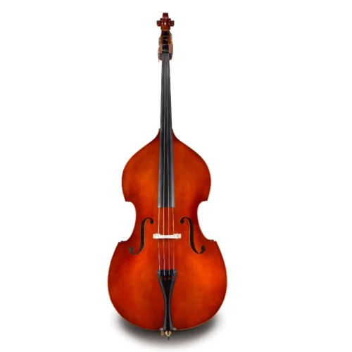 Đàn Double Bass Samuel Eastman VB80 size 3/4 – 1/8