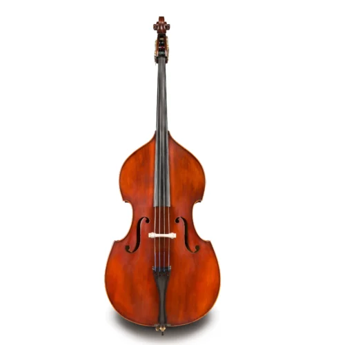 Đàn Double Bass Samuel Eastman VB95 size 3/4 – 1/8