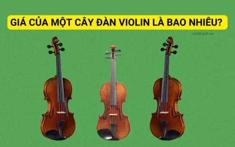 Giá của một cây đàn violin là bao nhiêu? Hướng dẫn về giá đàn violin