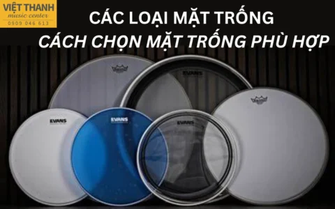 Các loại mặt trống và cách chọn mặt trống phù hợp