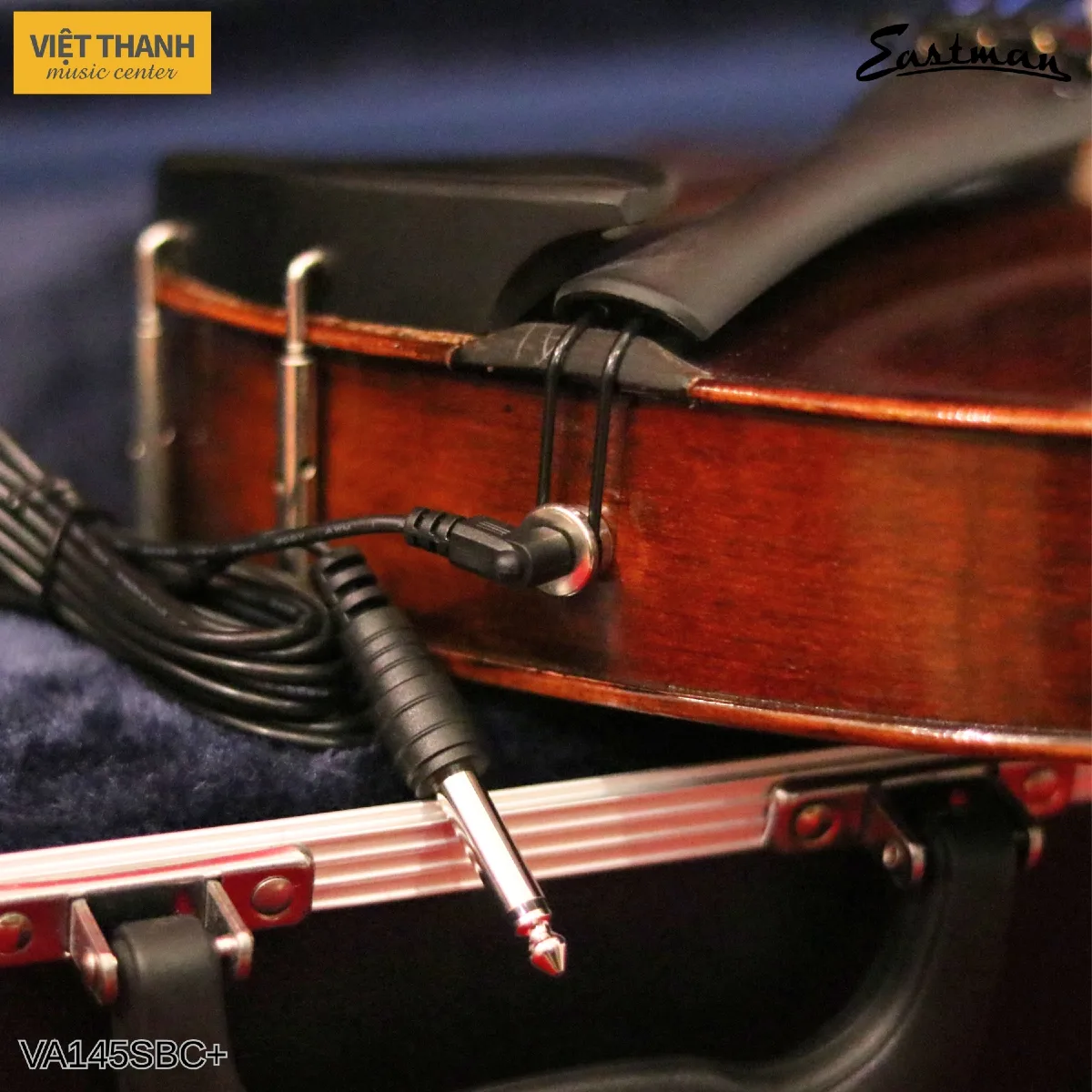 eq dan viola samuel eastman series va145 plus