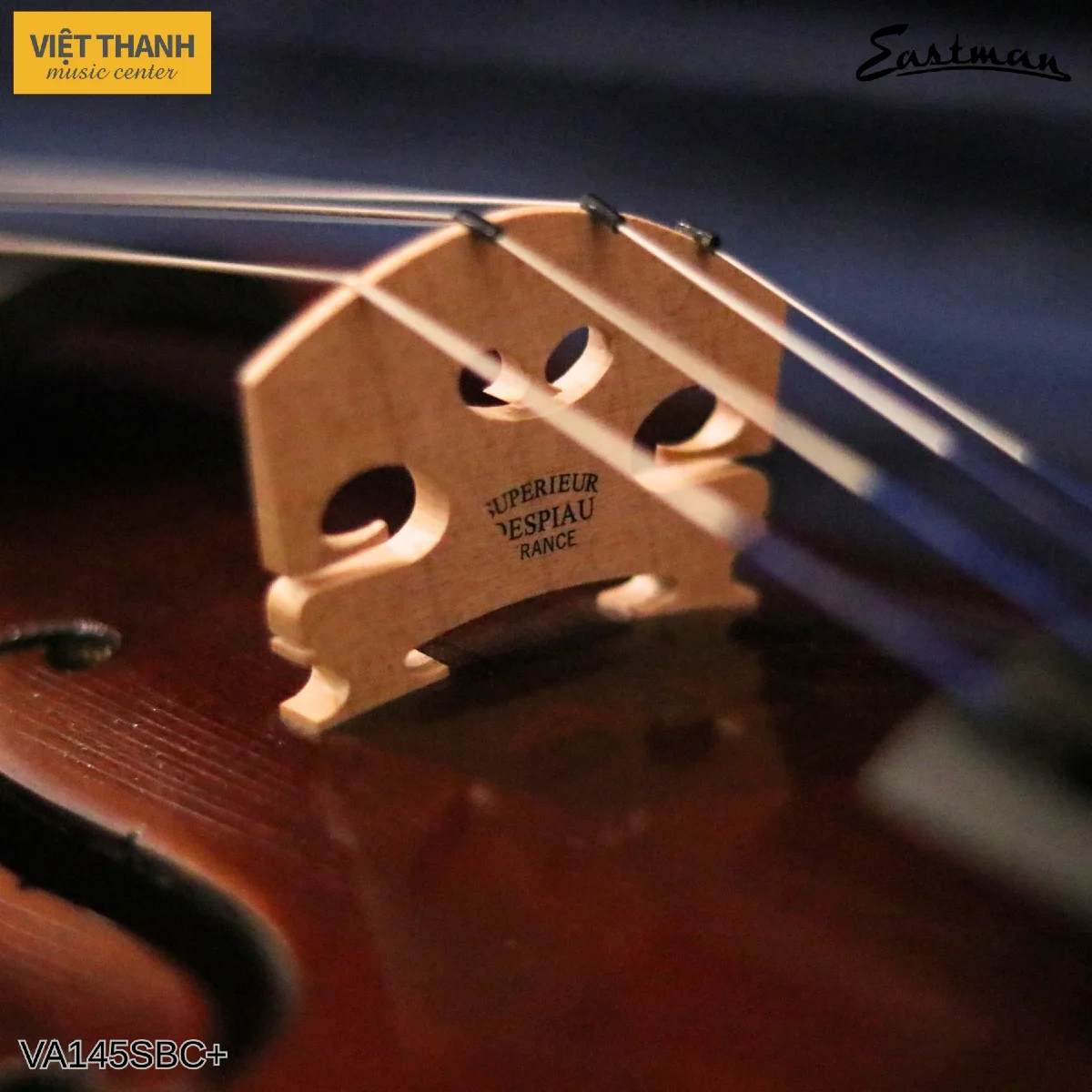 ngua dan viola samuel eastman series va145 plus