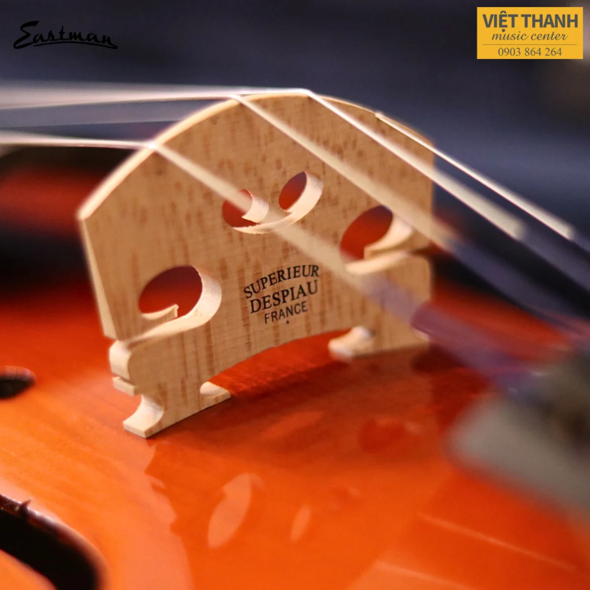 ngua dan viola samuel eastman va80