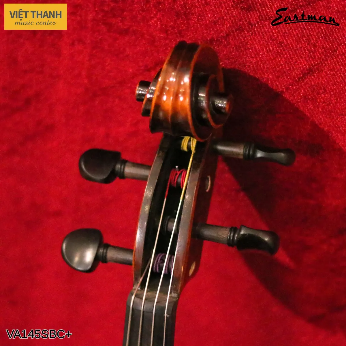 phan cuon dan viola samuel eastman series va145 plus
