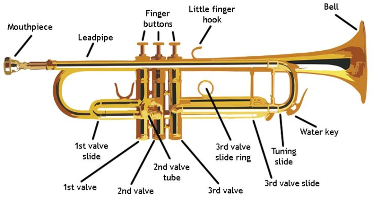 Các bộ phận của kèn Trumpet