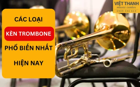 Các loại kèn Trombone phổ biến nhất – Loại nào phù hợp với bạn?