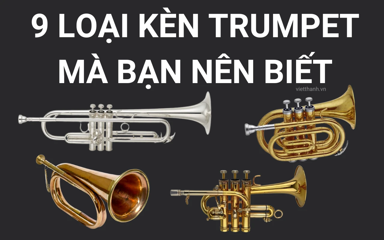 9 loại kèn Trumpet mà người chơi kèn đồng nên biết