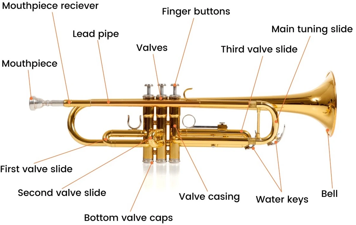 Cấu tạo kèn Trumpet