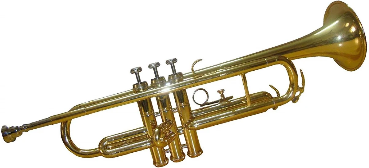 hinh dang ken trumpet