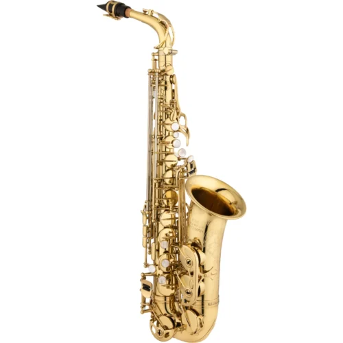 Kèn Saxophone Alto Eastman EAS650