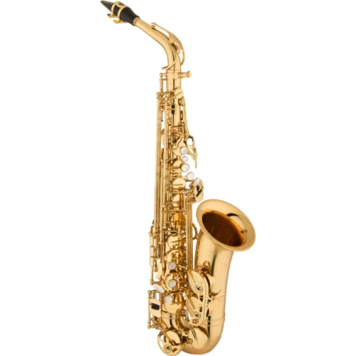 Kèn Saxophone Alto Eastman EASBRVO