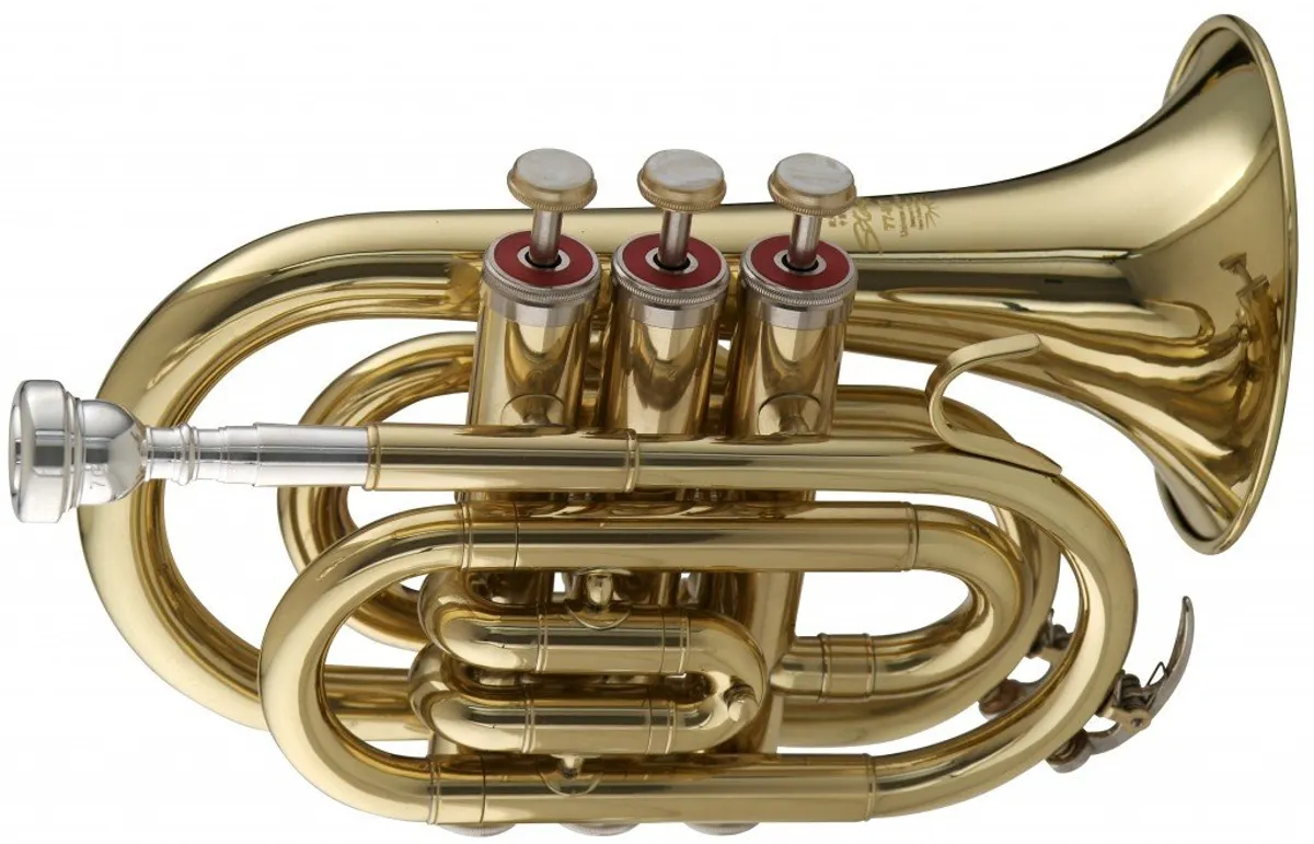 Kèn Trumpet Pocket Stagg WS TR245 Bb 