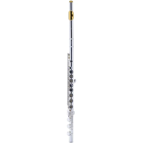 Sáo Flute Armstrong 800B, thân mạ bạc cùng với miệng sáo màu vàng sang trọng