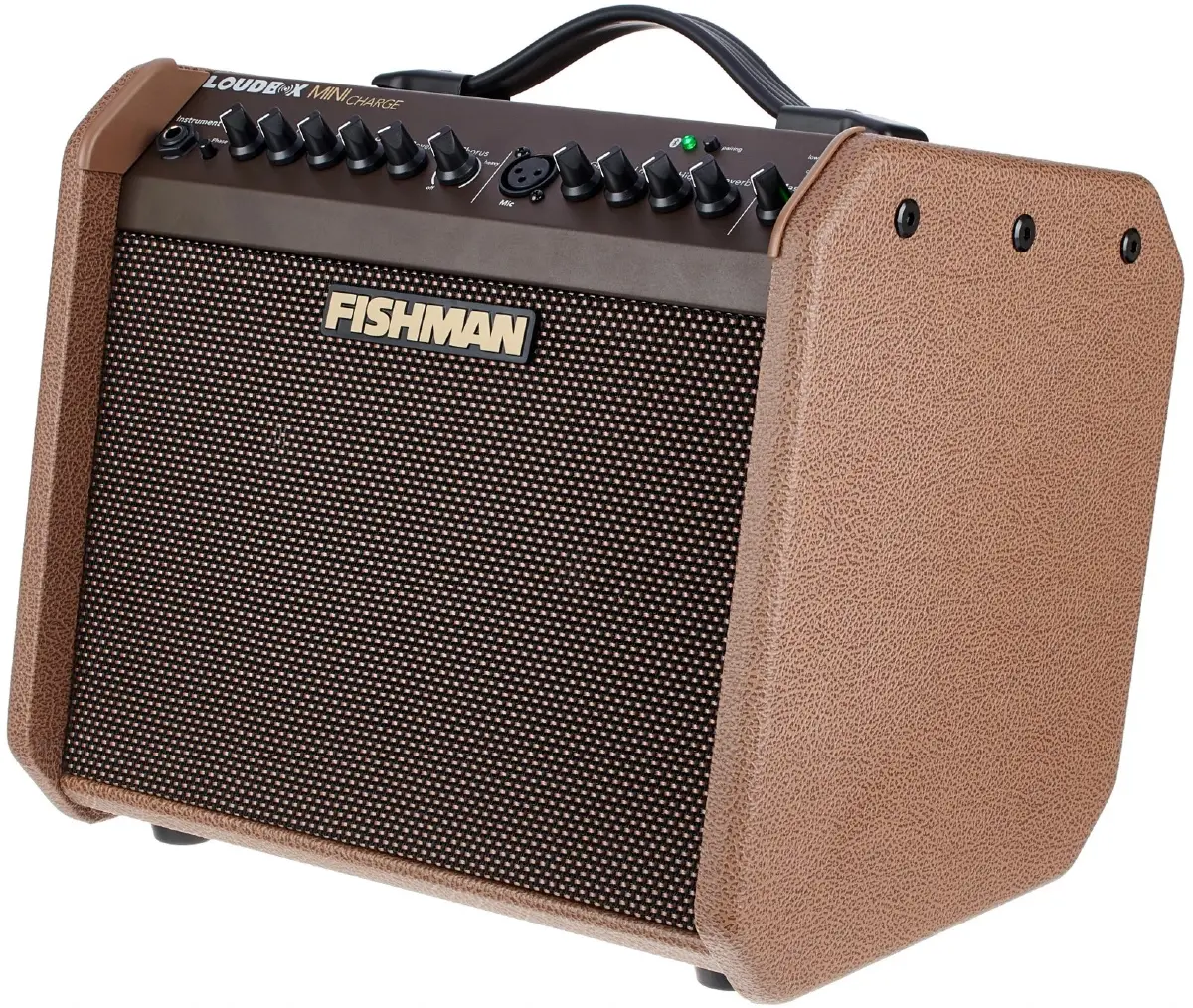 ampli guitar acoustic fishman loudbox mini charge