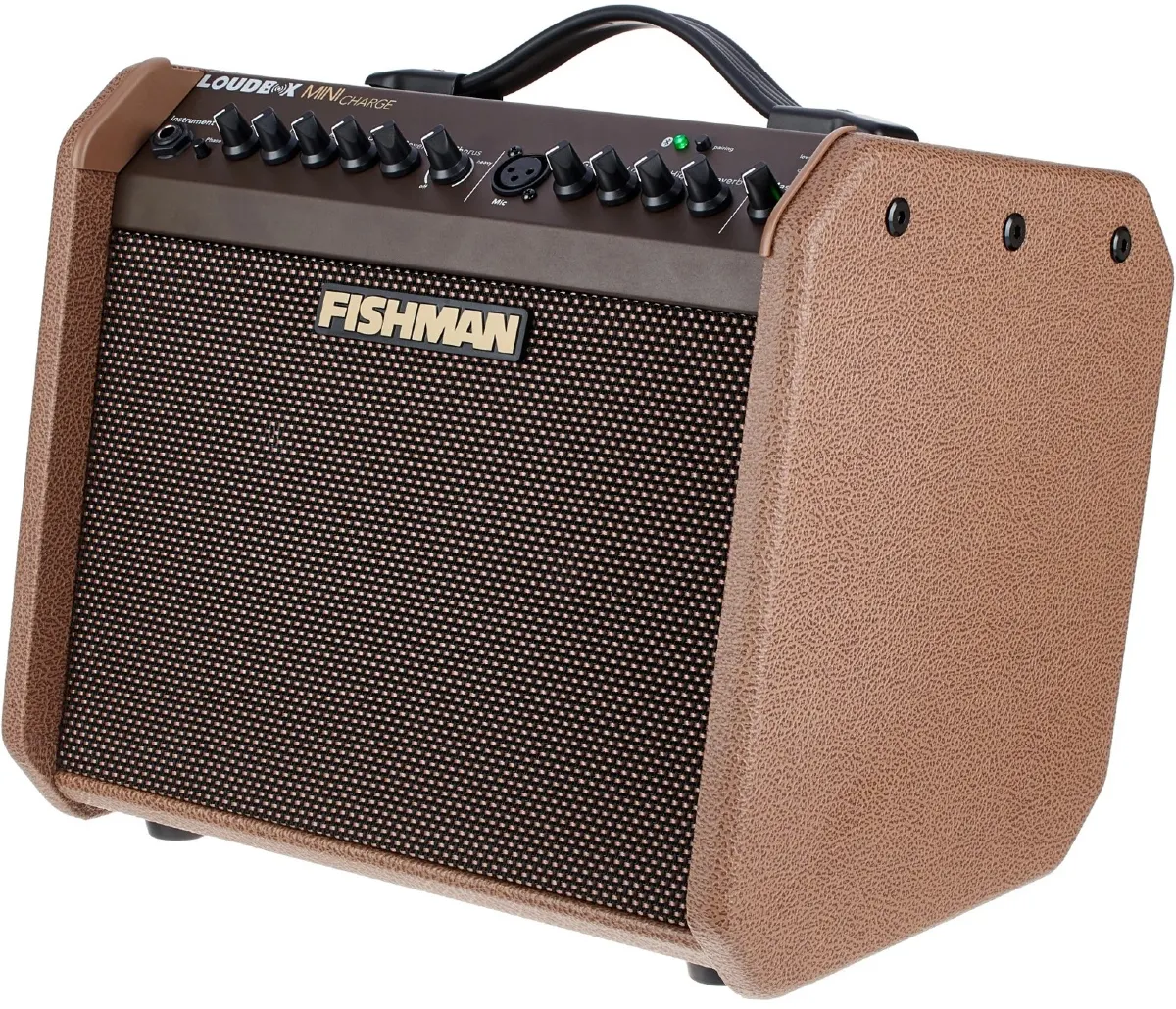 amplifier guitar acoustic fishman loudbox mini