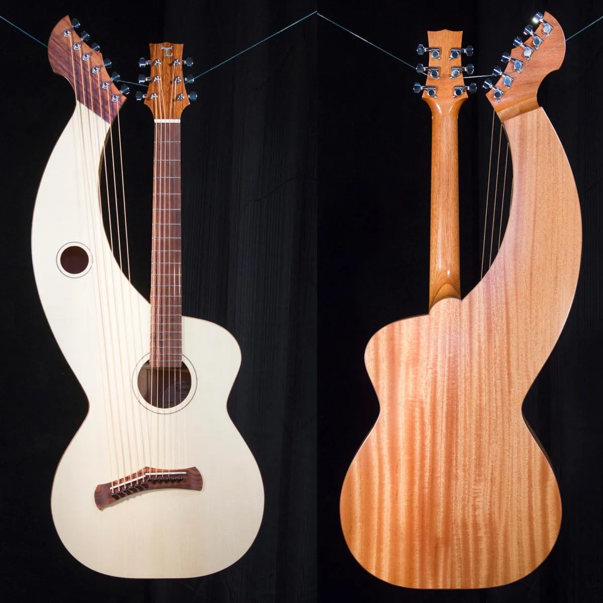 dan harp guitar