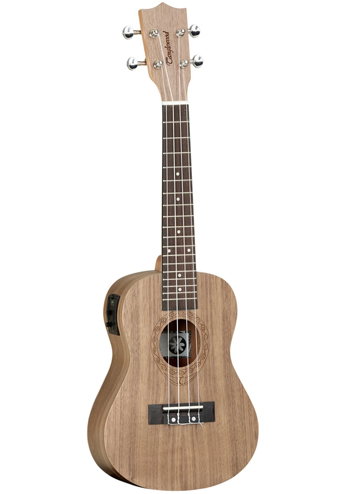 dan ukulele tanglewood twt13e