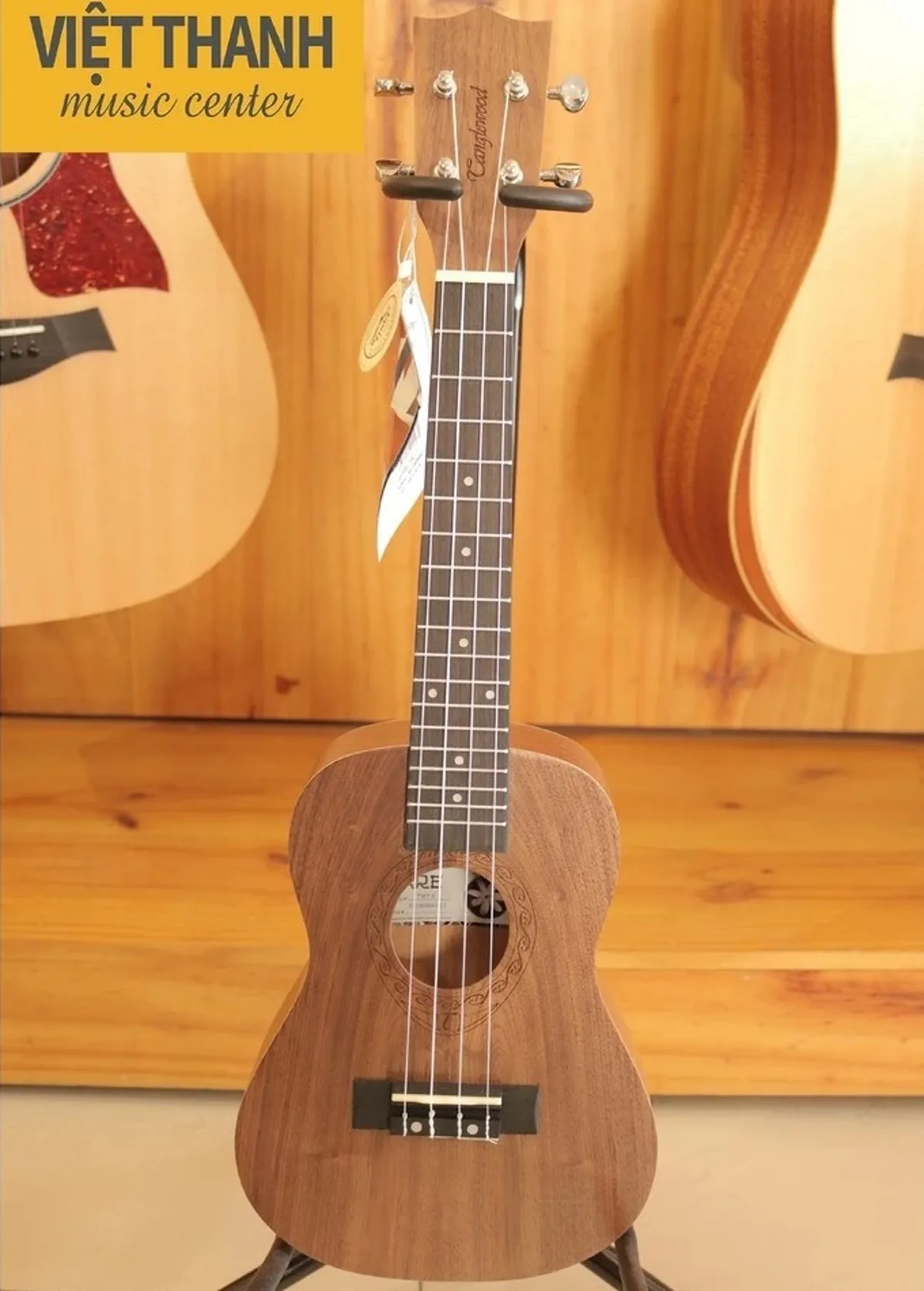 dan ukulele tanglewood twt3