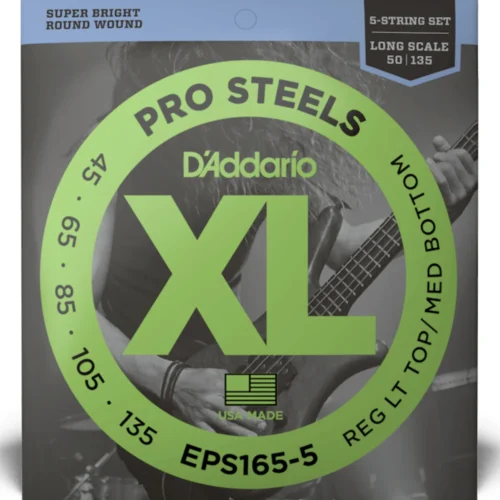 day dan guitar bass 5 day d’addario eps165 5