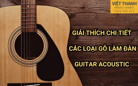 Giải thích chi tiết các loại gỗ làm đàn guitar acoustic