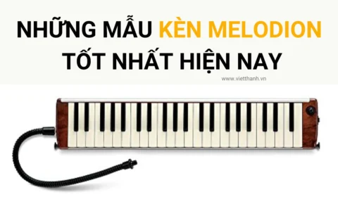 Những mẫu kèn Melodion tốt nhất hiện nay