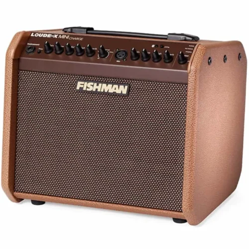 Ampli guitar thùng Fishman PRO-LBT-EU5 Loudbox Mini Bluetooth