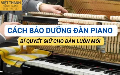 Cách bảo dưỡng đàn piano – Bí quyết giữ cho đàn luôn mới