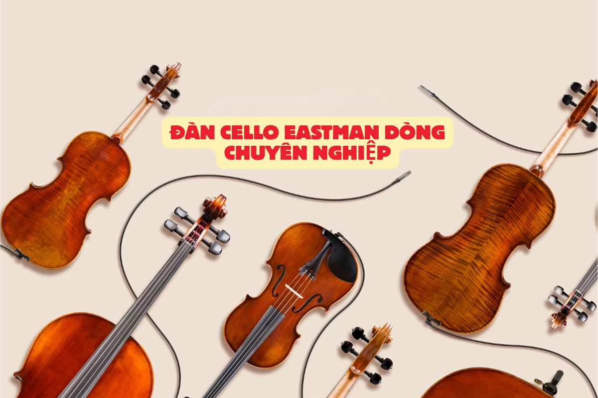 Đàn Cello Eastman dòng chuyên nghiệp, dành cho nghệ sĩ biểu diễn, đẳng cấp vượt thời gian