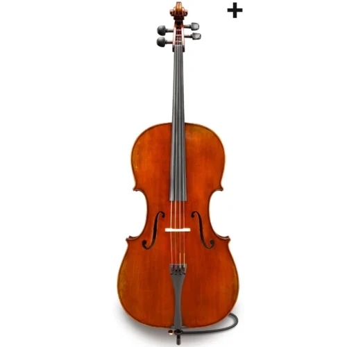 Đàn Cello Eastman Albert Nebel Series+ VC601+ chuyên nghiệp, size 4/4