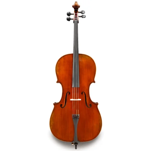 Đàn Cello Eastman Albert Nebel VC601 chuyên nghiệp, size 4/4