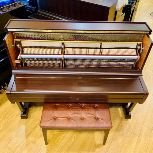 dan piano wistaria u buchholz k120