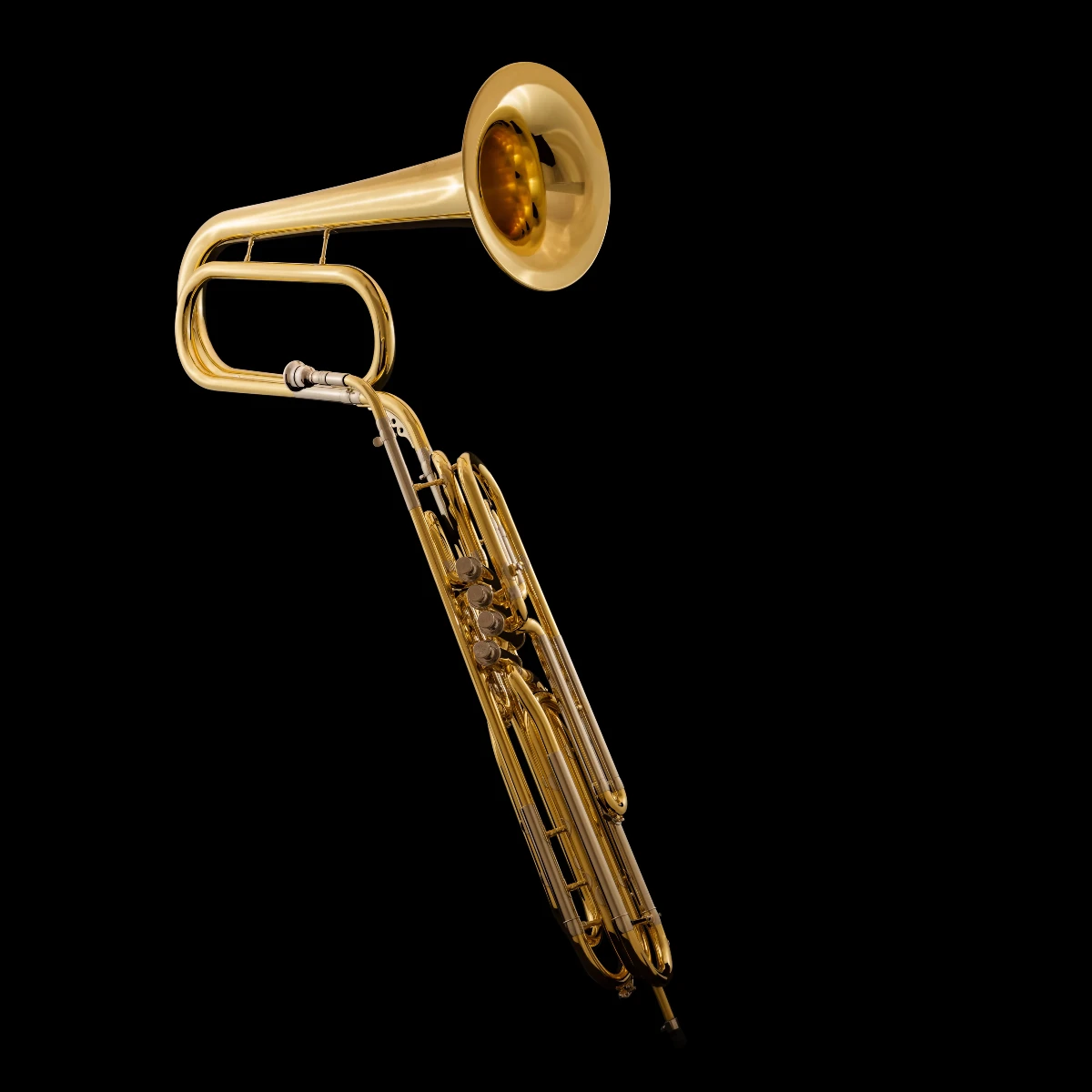 hinh dang ken cimbasso