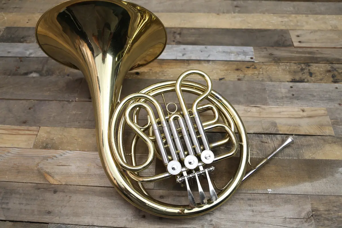 hinh dang ken french horn