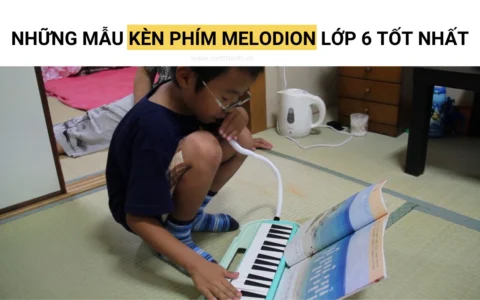 Những mẫu kèn phím melodion lớp 6 tốt nhất