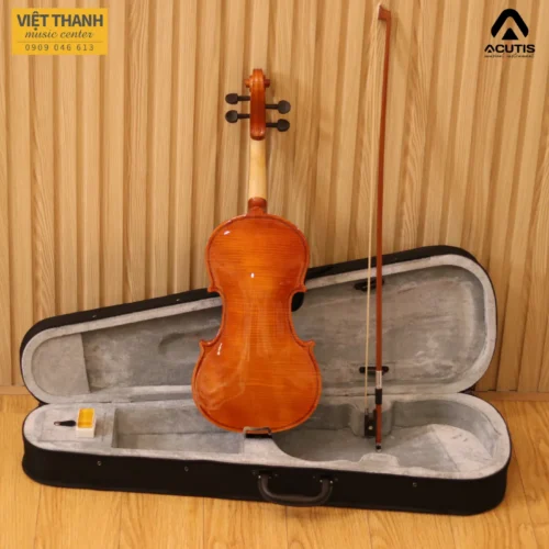 mat sau dan violin acutis ayv3006