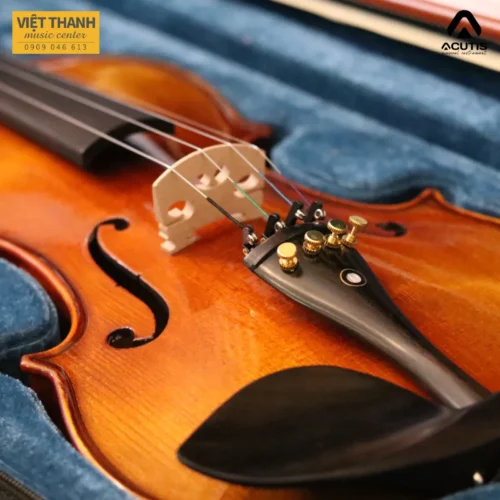 ngua dan violin acutis ahv3301