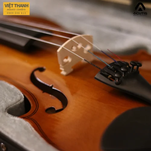 ngua dan violin acutis ayv3003