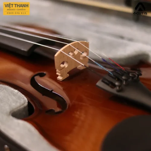 ngua dan violin acutis ayv3005