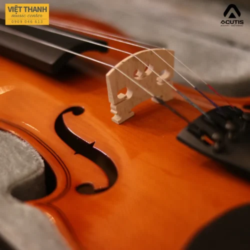 ngua dan violin acutis ayv3006