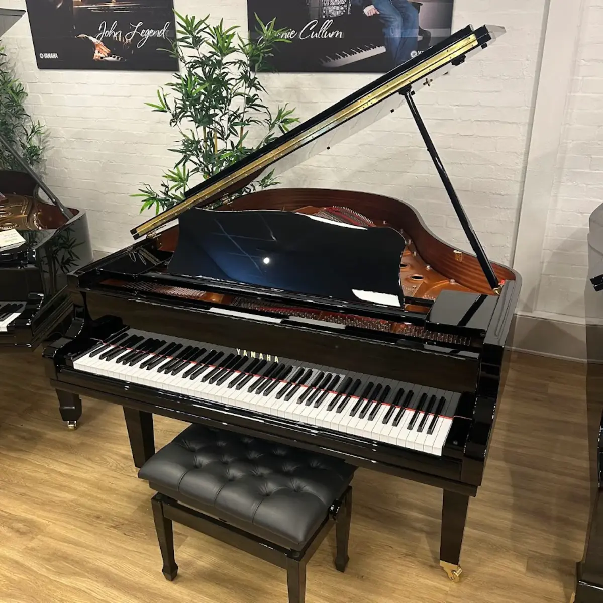 baby grand piano yamaha gc2