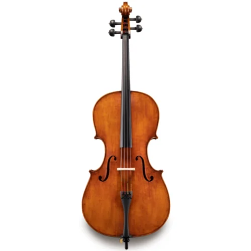 Đàn Cello Eastman 830 Series VC830 size 4/4 – 7/8