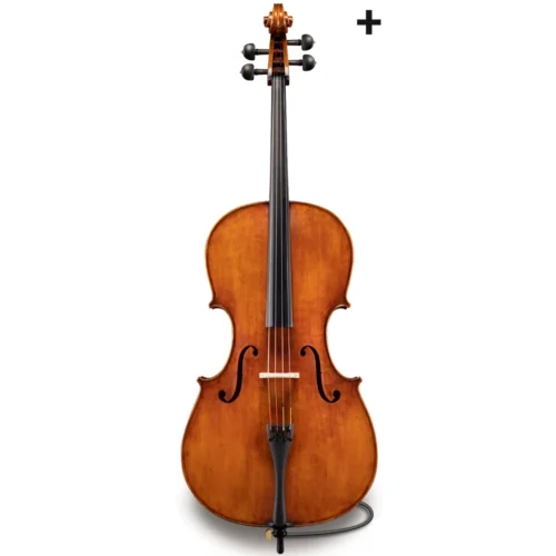 Đàn Cello Eastman 830 Series+ VC830+ size 4/4 – 7/8