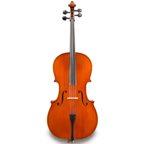 Đàn Cello Eastman Galiano VC1G size 4/4-1/4