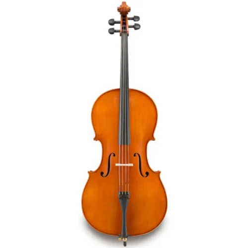 Đàn Cello Eastman Galiano VC3G size 4/4 – 1/4