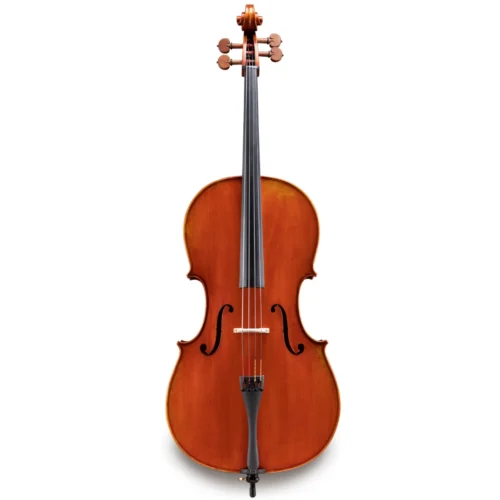 Đàn Cello Eastman Galiano VC7G kích thước đầy đủ, dòng Performance