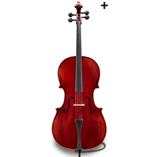 Đàn Cello Eastman Jean-Pierre Lupot Series+ VC501+ size 4/4 – 7/8