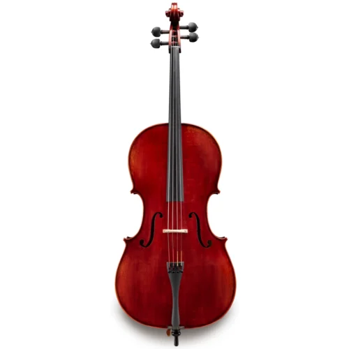 Đàn Cello Eastman Jean-Pierre Lupot VC501 size 4/4 – 7/8